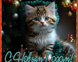 Новогодняя открытка с котенком
