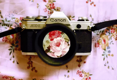 Фотоаппарат Canon - День фотографа