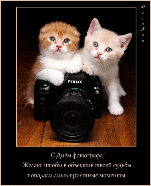 Гиф открытки с днем фотографа - День фотографа