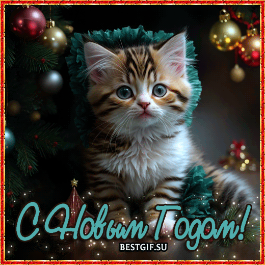 Новогодняя открытка с котенком новогодние открытки С Новым годом 2024