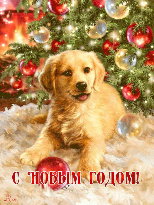 Собака под ёлкой новогодние открытки С Новым годом 2024