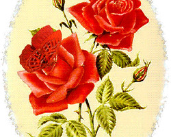 Поздравительная открытка с розой