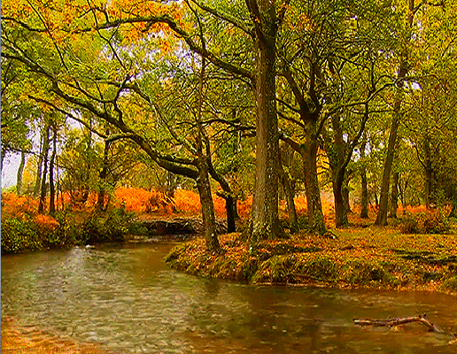 Осенняя река - Осень